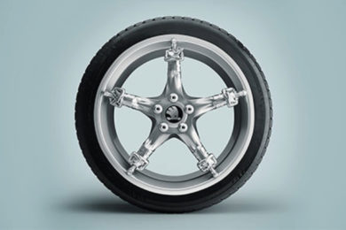 Skoda: Protezione Pneumatici