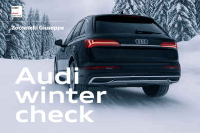 Promo Audi winter Check