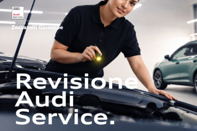 Revisione Audi Service.